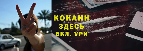 стаф Абаза
