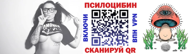 цены Черногорск Галлюциногенные грибы Magic Shrooms
